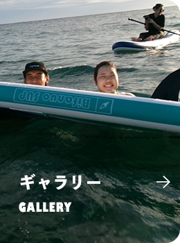 sp_halfbnr_gallery