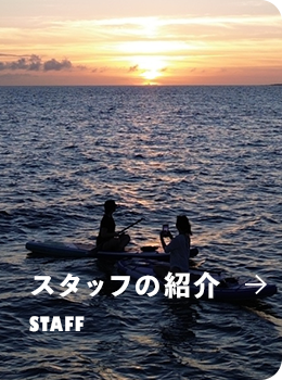 sp_halfbnr_staff