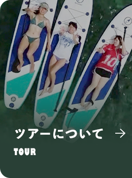 sp_halfbnr_tour